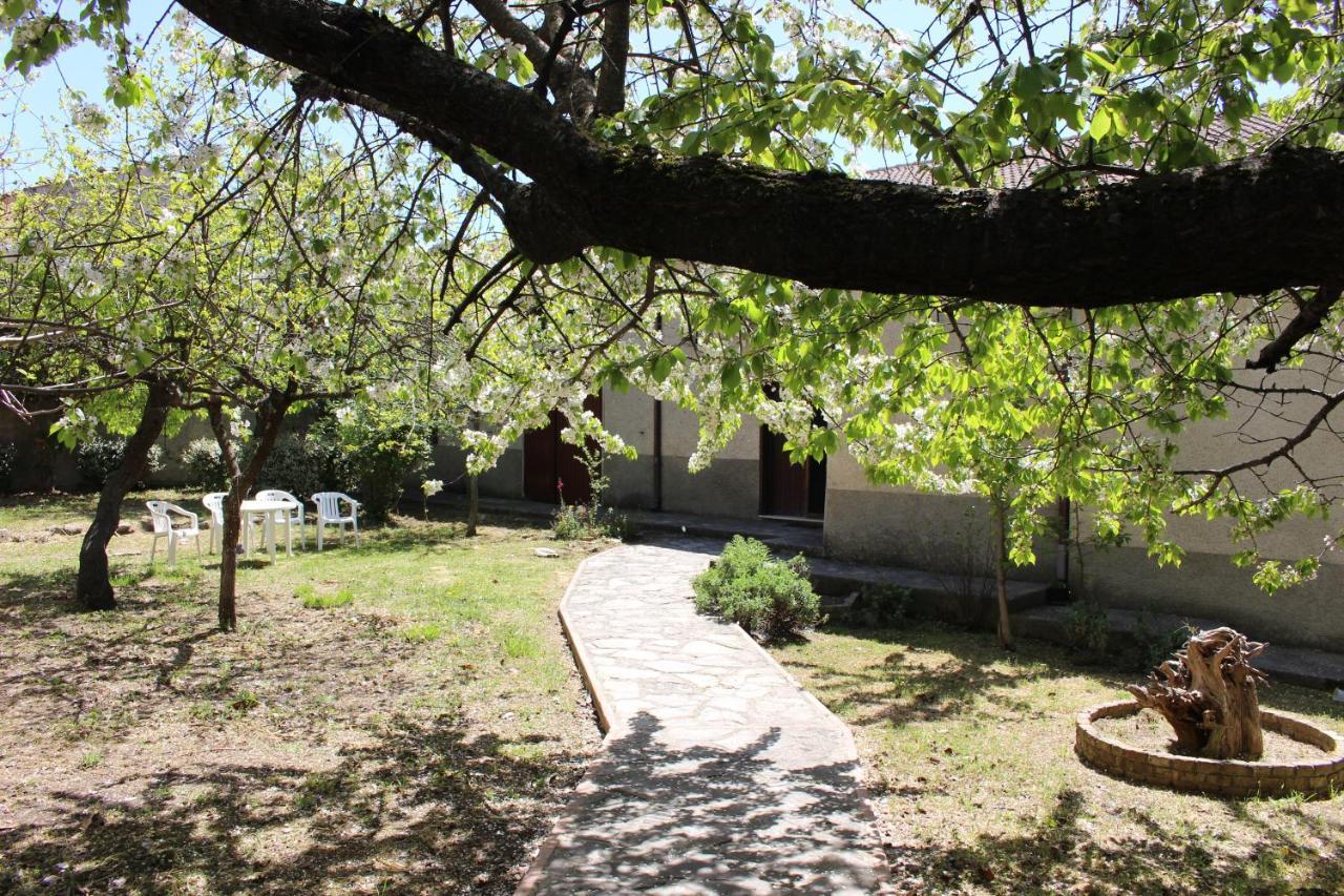 Antica Dimora Palazzo Rovitti Bed & Breakfast Cerchiara di Calabria Ngoại thất bức ảnh
